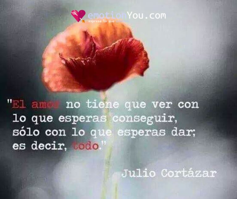 el amor no tiene + 200 Frases de Julio Cortázar soledad