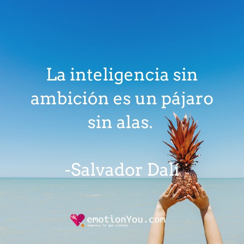 La inteligencia sin ambición es un pájaro sin alas. Salvador Dalí La inteligencia alas | inteligencia | pájaros